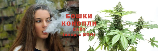 ГАЛЛЮЦИНОГЕННЫЕ ГРИБЫ Белоозёрский