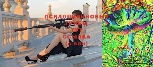 ГАЛЛЮЦИНОГЕННЫЕ ГРИБЫ Белоозёрский