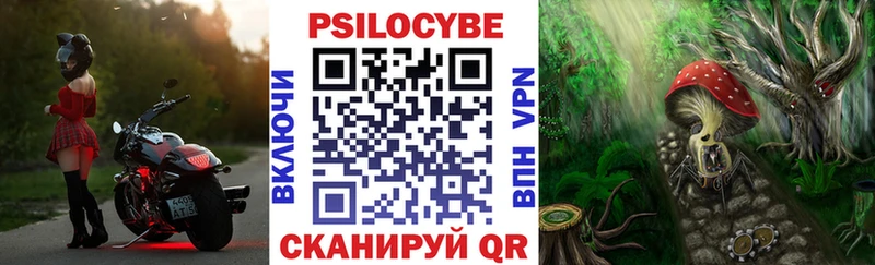 Псилоцибиновые грибы Magic Shrooms  где можно купить   Кунгур 
