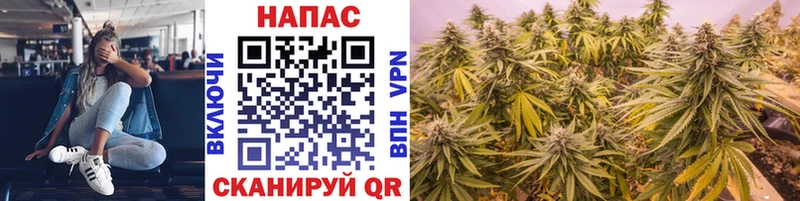 как найти наркотики  Кунгур  Бошки Шишки ГИДРОПОН 